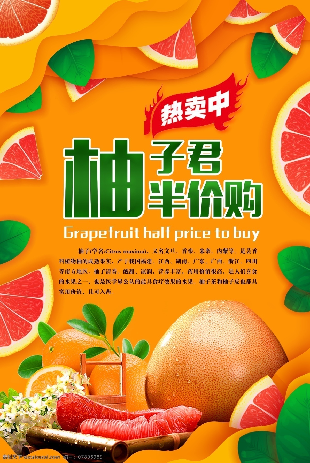 柚子 水果 新鲜 活动 海报