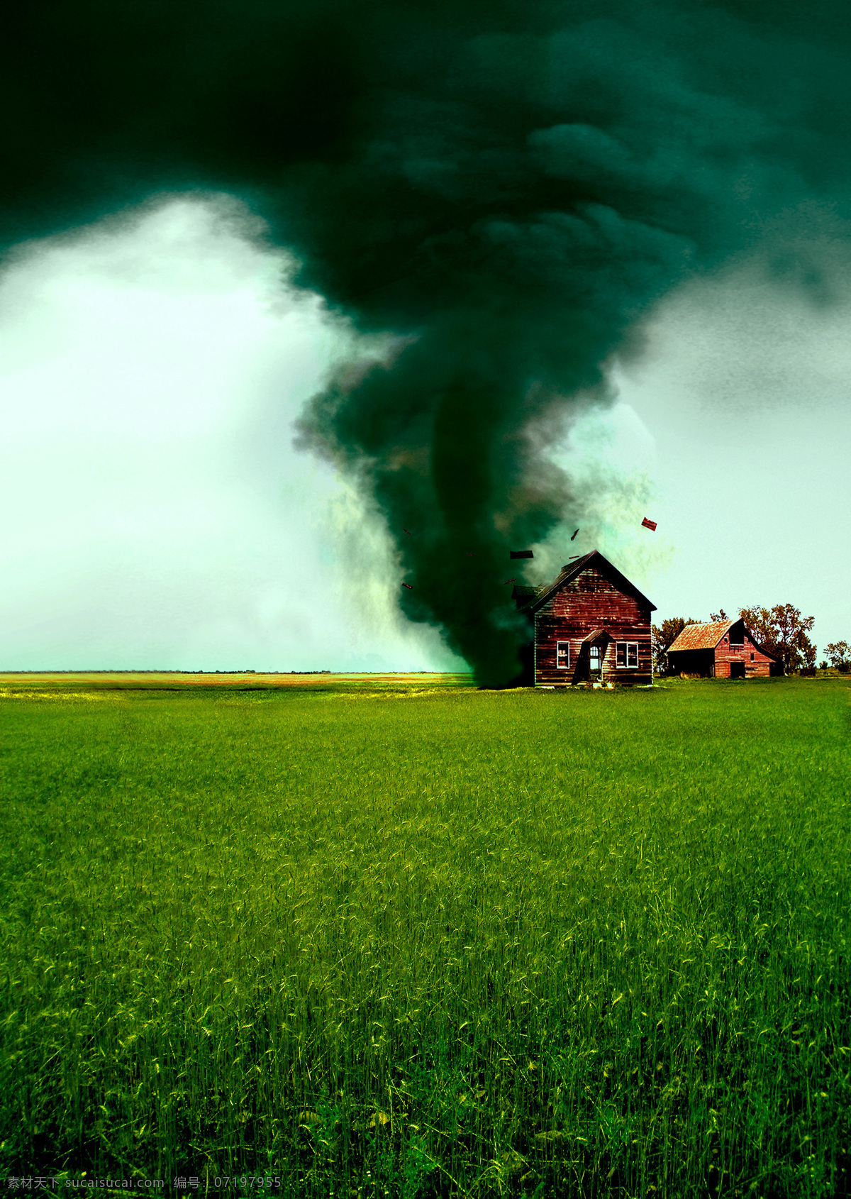 毁坏 房子 龙卷风 绿色植物 破坏 自然现象 自然灾害 灾难 其他风光 风景图片