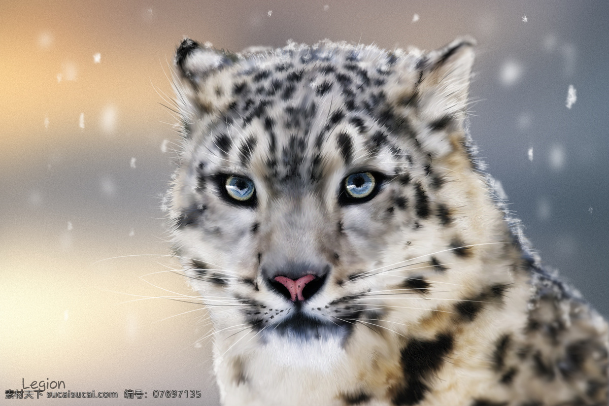 雪豹 猫科 豹 雪 绘画 动漫动画