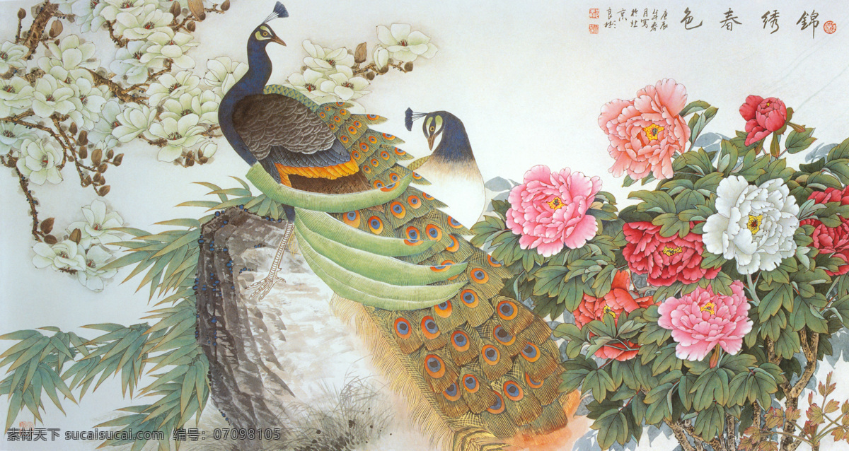 锦秀春色 工笔国画牡丹 工笔 国画 牡丹 孔雀 绘画书法 文化艺术