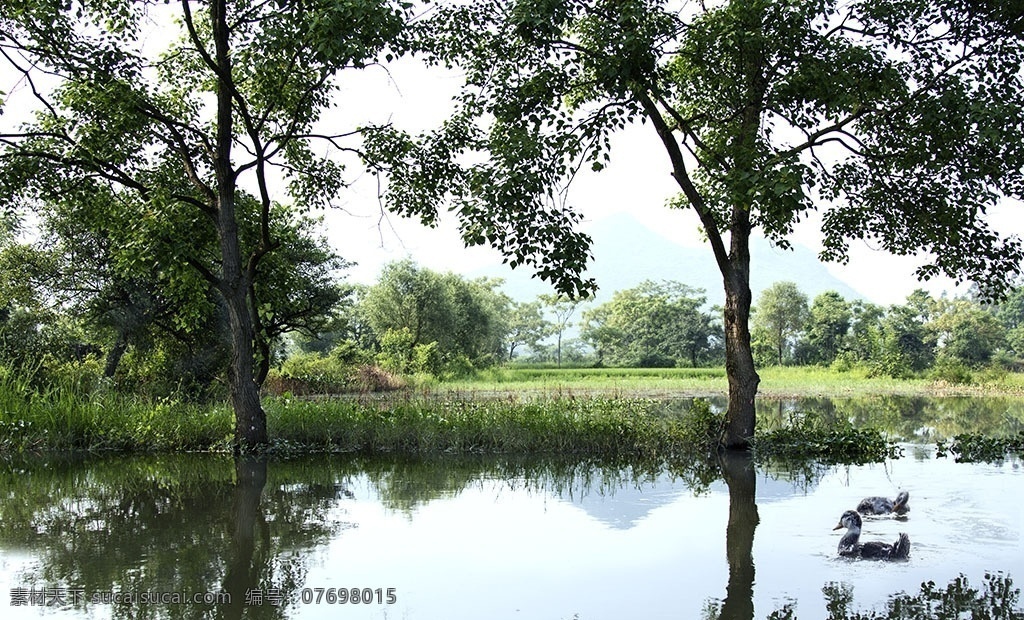 湿地景观 湿地 湿地风景 湿地风光 湿地保护 自然风光 田园风光 乡村 山水 树木 蓝天 白云 湖泊 水面 湖面 倒影 自然景观