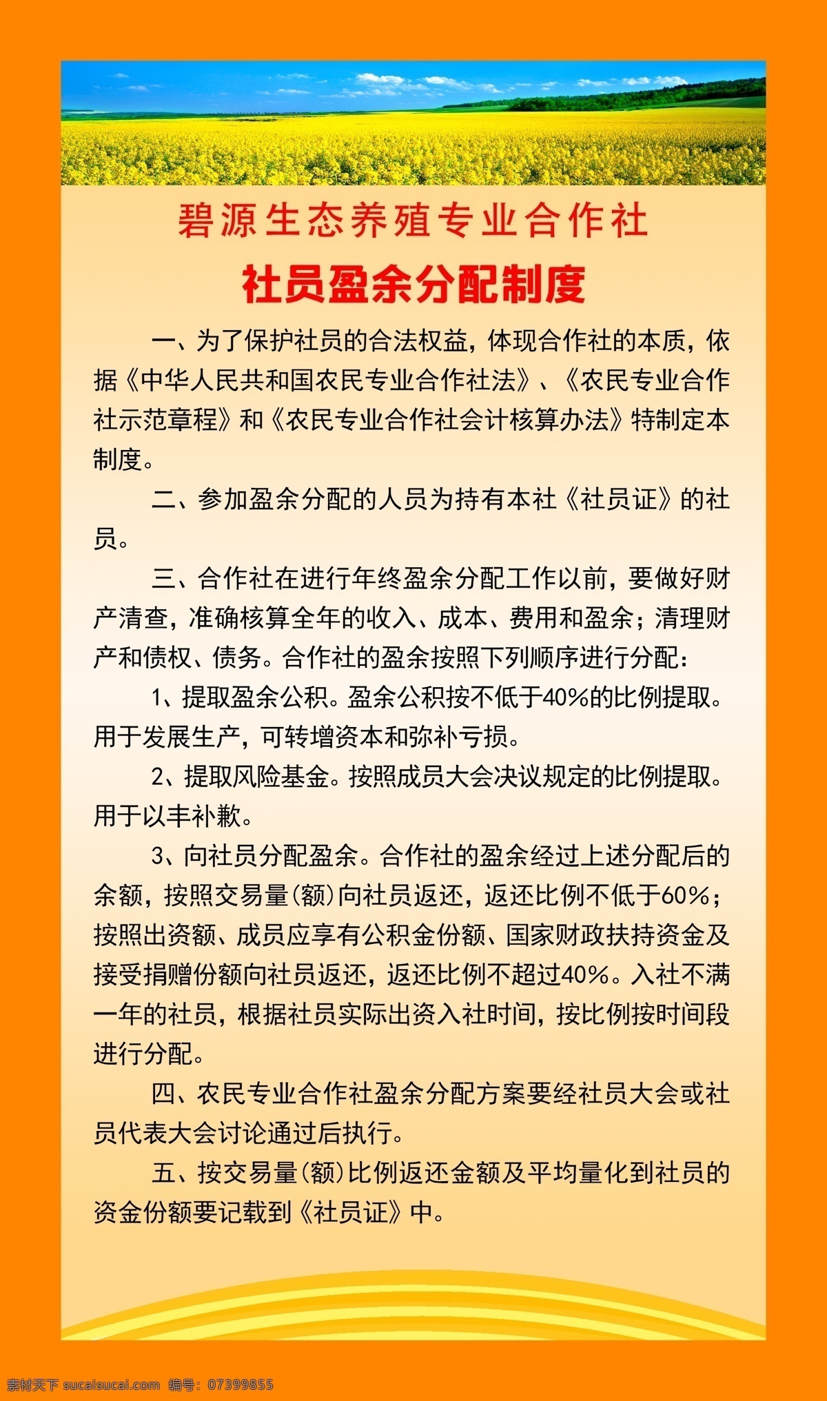 社员 盈余 分配制度 制度 展板 生态养殖 合作社 黄色背景 社员盈余 展板模板