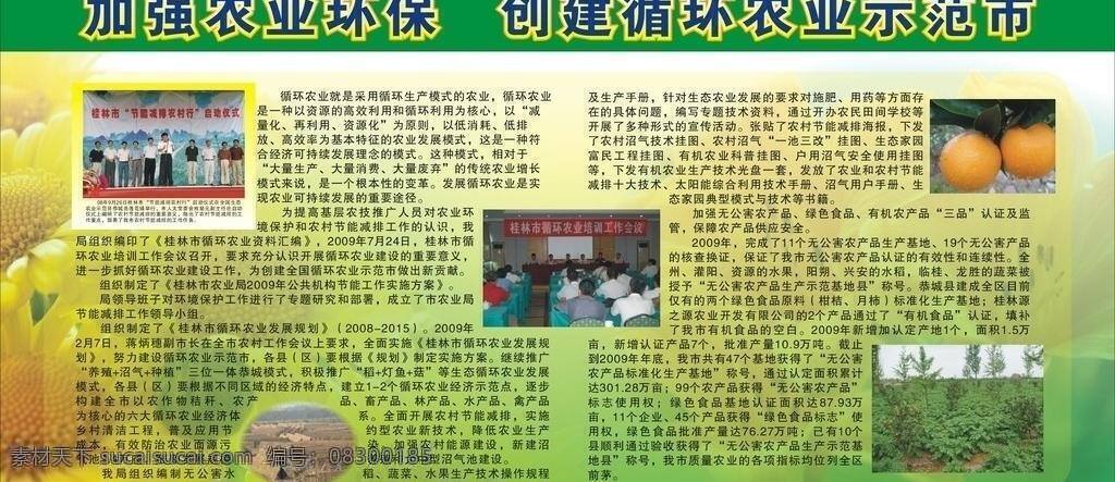 板报 版报 创建 大棚 桂林 果树 花卉 环保 农业环保 农业 循环 示范 加强 桔子 柑桔 会议 农村 农民 科技 技术 展板 模板 展板模板 矢量 其他展板设计