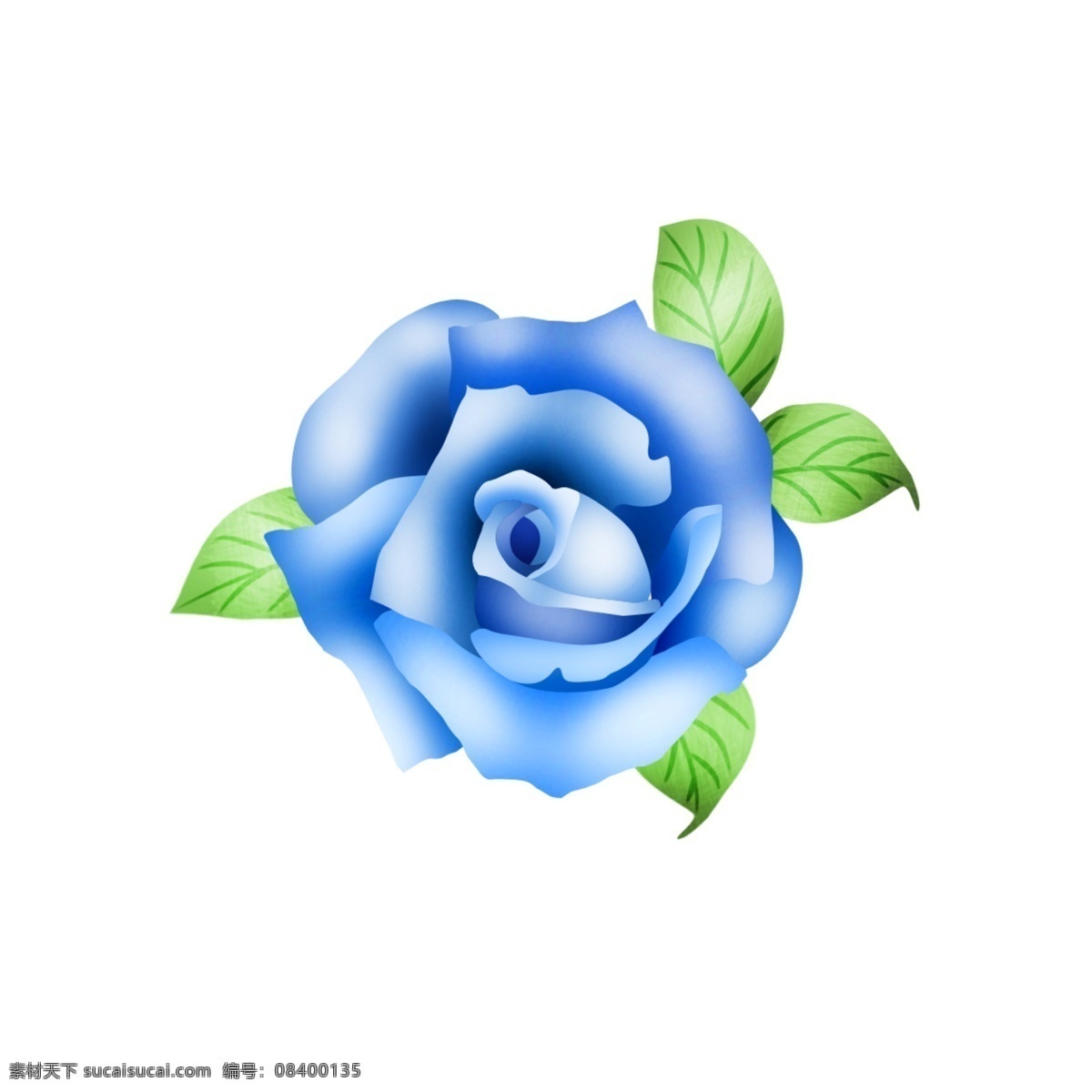 大气 矢量 手绘 蓝色 玫瑰花 手绘玫瑰花 矢量玫瑰 蓝玫瑰 手绘花 矢量玫瑰花 玫瑰一朵