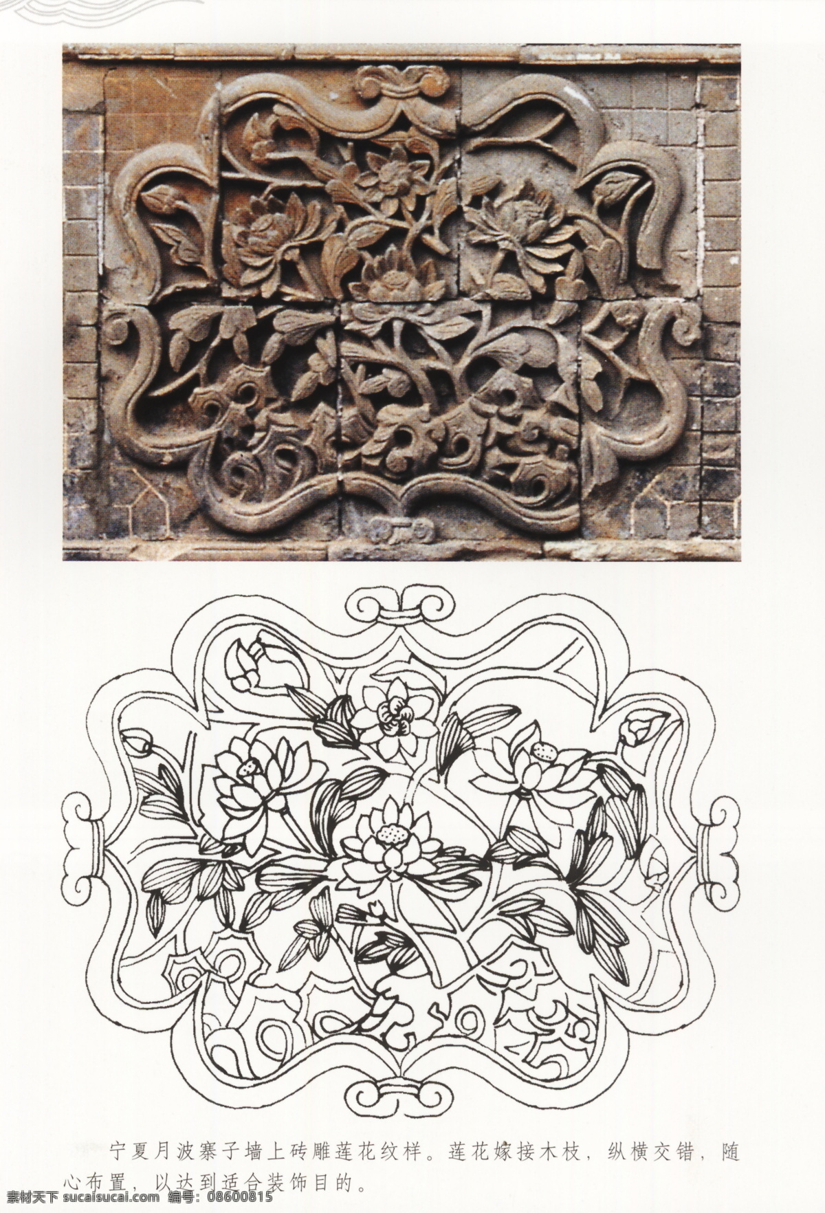 古代建筑 雕刻 纹饰 草木花卉 荷莲 设计素材 古建图案 其他资料 建筑装饰 白色