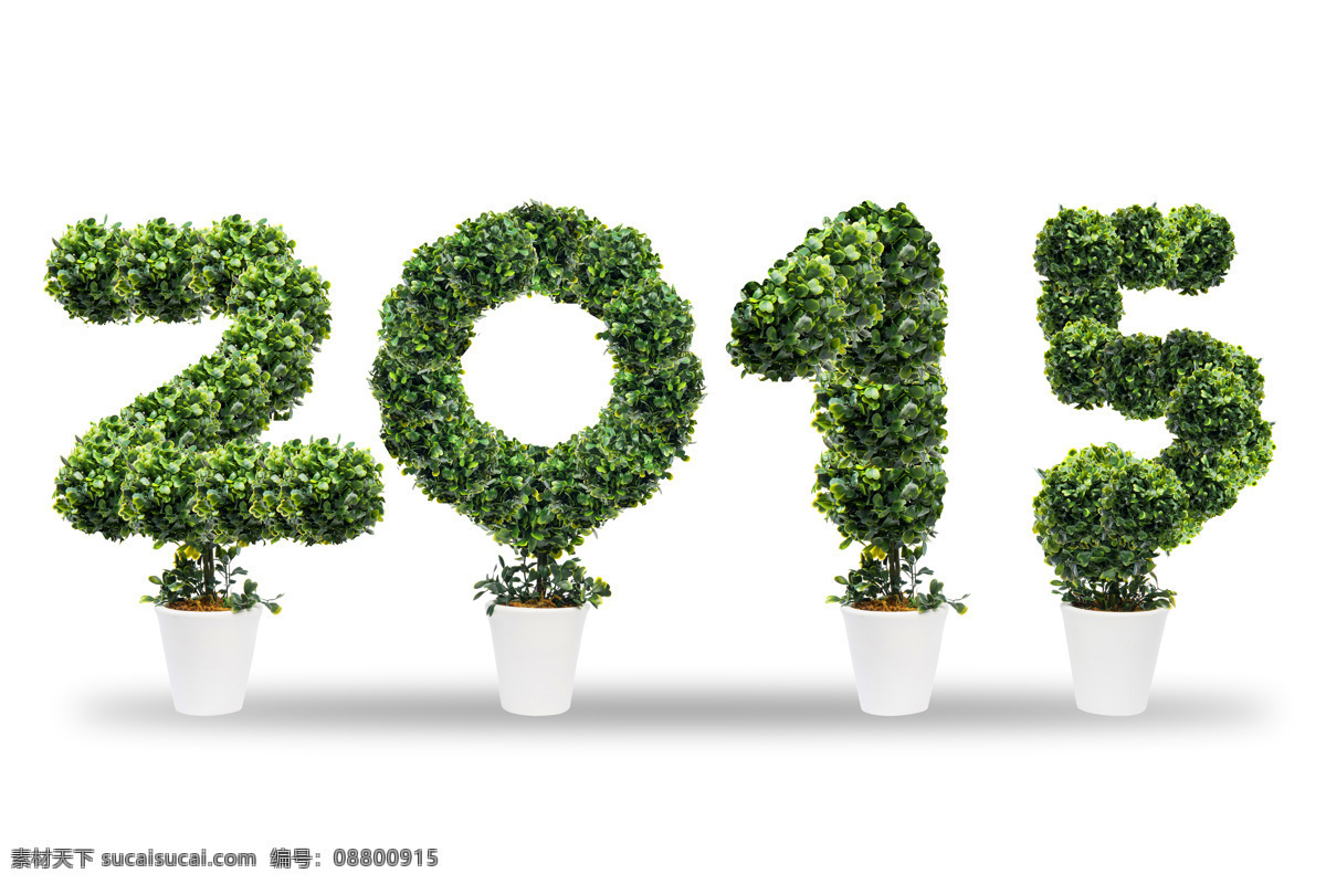 创意 绿树 2015 圣诞节 新年 绿叶 节日庆典 生活百科 白色