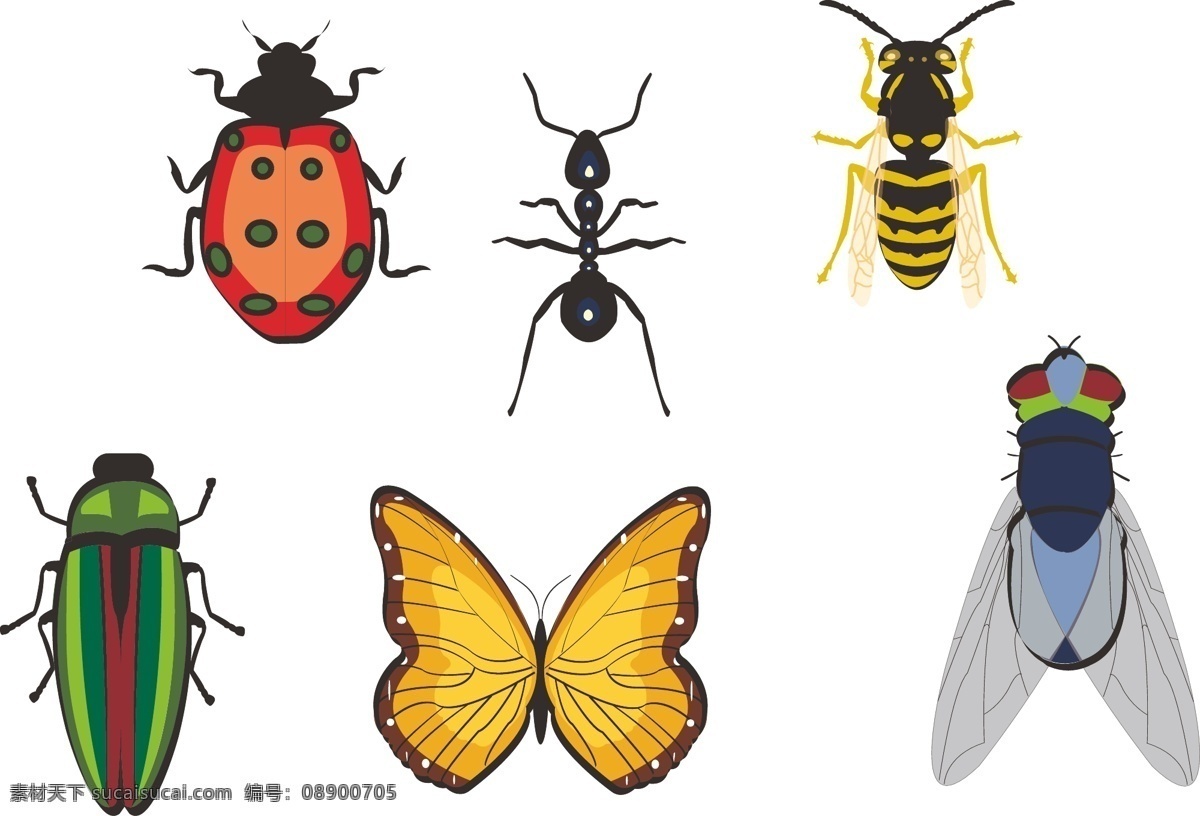 昆虫 动物 小生物 七星瓢虫 蚂蚁 苍蝇 蝴蝶 甲虫 设计素材 生物世界