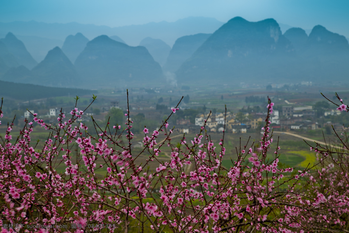 桃花报春 桃花 春天 山 风景 报春 自然景观 田园风光