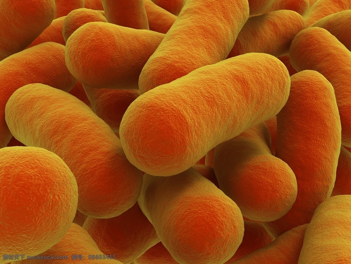 细菌 细胞 高清 微生物 生物细胞 病毒 乳酸菌 发酵 生 物类 现代科技 科学研究