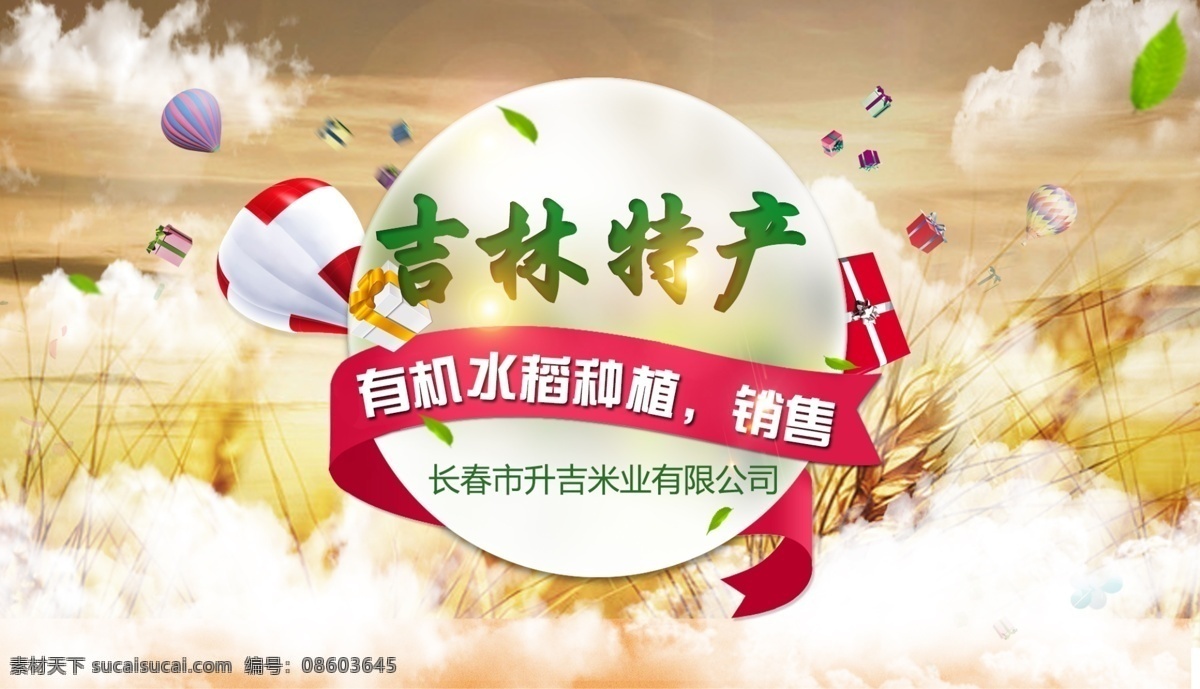 手机轮播图 梦幻背景 手机轮播 手机海报 手机宣传海报 吉林大米 新品上市 地方特产 白色