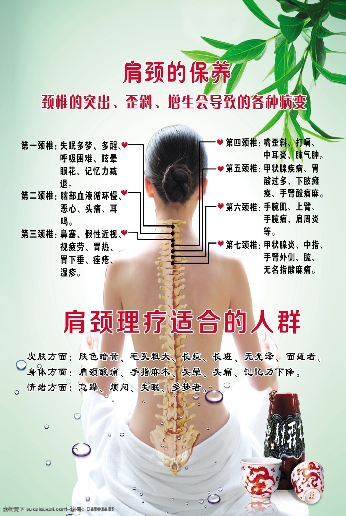 美容 养生芦荟 海报 绿色背景 后背 穴位