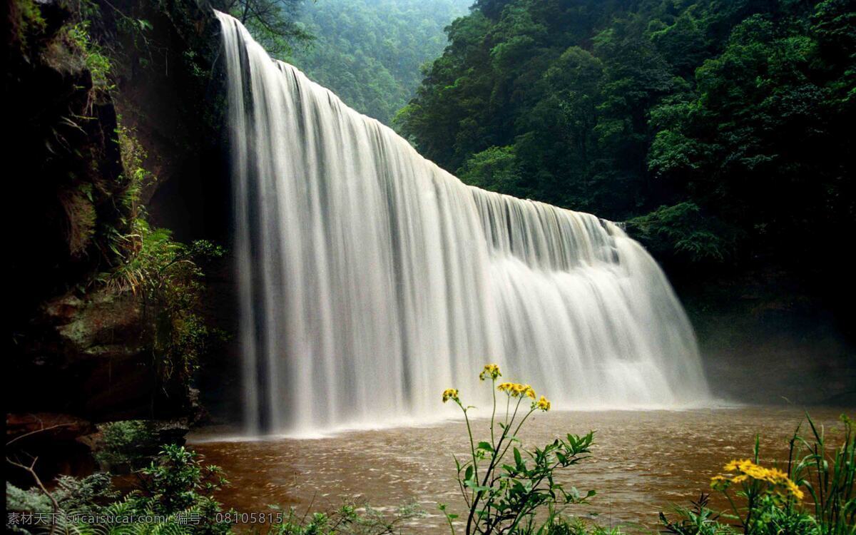 贵州 瀑布 山水 竹海 自然风景 自然景观 遵义 珍珠 滩 赤水 十丈洞 瀑布群 水 竹海之中 瀑布全景 矢量图 日常生活