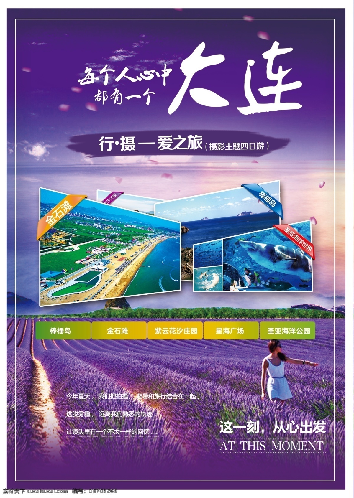 暑期 大连 旅游 宣传 单页 紫色 薰衣草 dm宣传单