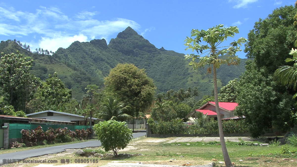 茉莉 村 蓝天 股票 视频