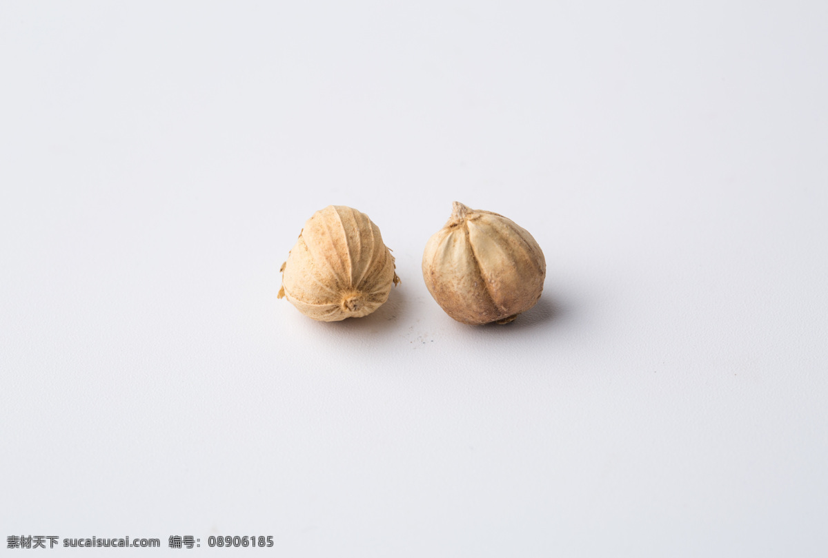 多骨 壳蔻 白蔻 百叩 叩仁 中药 中药材 药材 食物 食材 食物原料 中药白豆蔻 餐饮美食
