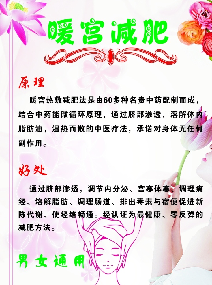 暖宫减肥 原理 好处 美容背景 荷花素材