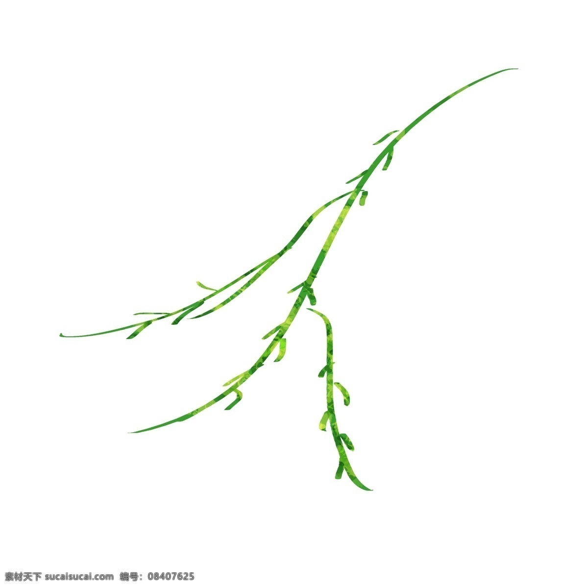 手绘 插画 风格 柳树 树枝 卡通 图案 装饰 肌理 植物 手绘肌理插画 手绘风格