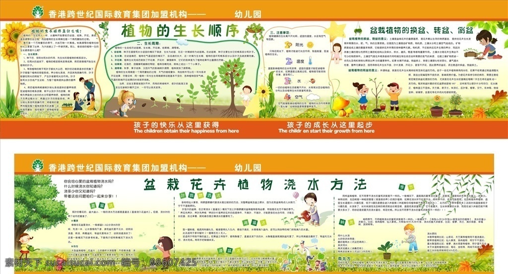 植物 生长 顺序 植物生长顺序 生长周期 盆栽换盆 盆栽浇水 倒盆 幼儿园广告 卡通设计