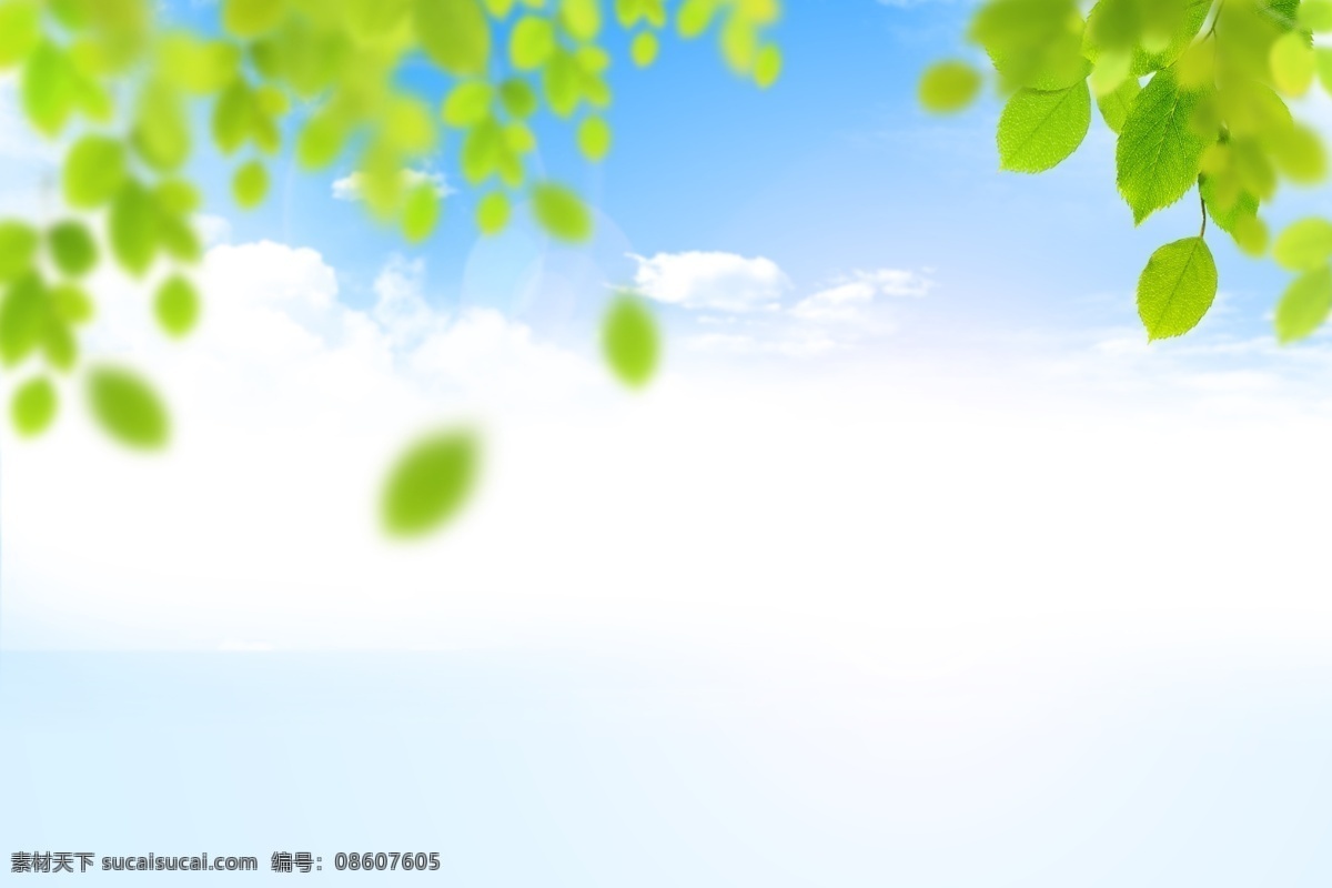 小 清新 唯美 绿叶 海报 背景 花草 菊花 广告背景 彩色背景 清新背景 色彩背景 背景展板 背景psd