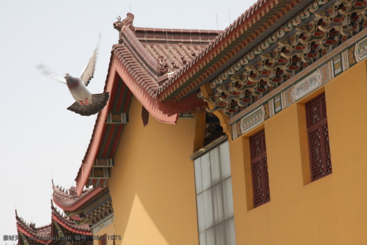 古典 房子 背景 杀伐 决断 桑德 菲 杰 束带结发 风景 生活 旅游餐饮