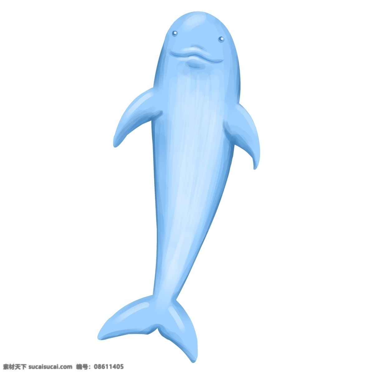 海洋生物海豚 海豚 动物 蓝色