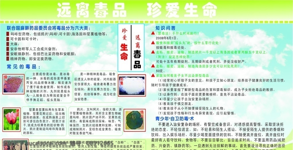 远离毒品 珍爱生命 摇头丸 冰毒 海洛因 罂粟 鸦片 远离毒品宣传 展板模板 矢量