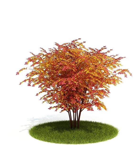 3d 精美 树木 模型 3d植物模型 绿色树木 绿色植物 树 精美树木 树木三维模型 树木建模 3d树木模型 三维建模 3d模型 3d素材 植物 其他模型 3d设计模型 源文件 max