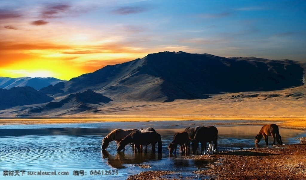 河边 饮水 马群 日出 蓝天 白云 山脉 河水 草原 生物 世界 野生 动物 高清大图 背景大图 背景壁纸 生物世界 野生动物