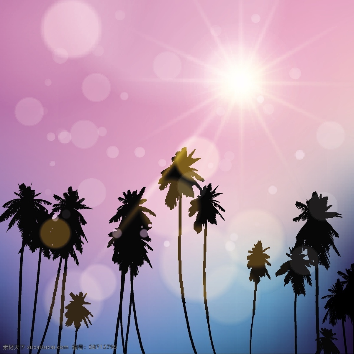 落日 天空 棕榈树 剪影 背景 树 夏天 叶 自然 海滩 景观 热带 植物 背景虚化 环境 棕榈 度假 日出 阳光的季节
