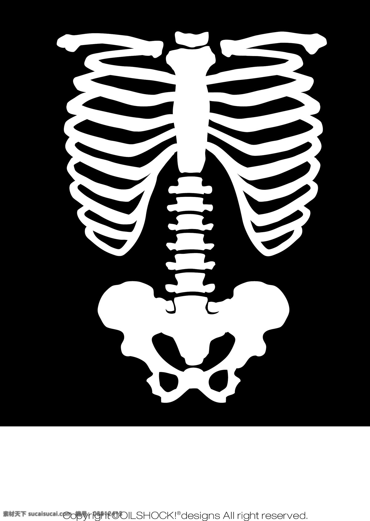 骨头素材图片下载-素材编号08812415-素材天下图库