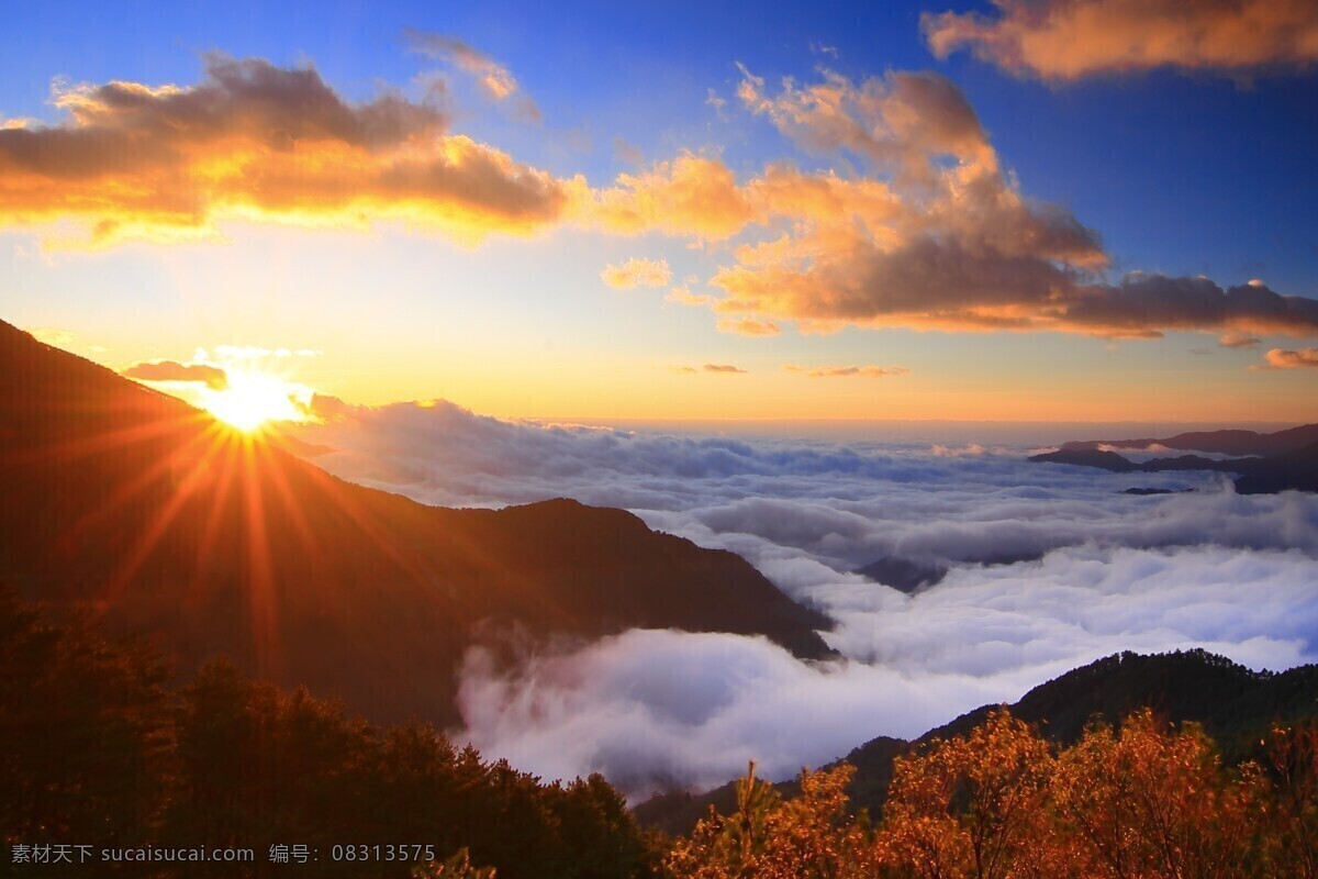 高山云海日出 美丽 自然 蓝天 白云 高山 云海 日出 光线 树林 美丽自然 自然风景 自然景观