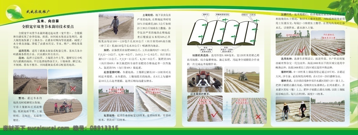 马铃薯 四 折页 广告设计模板 画册设计 向日葵 玉米 源文件 马铃薯四折页 其他画册封面