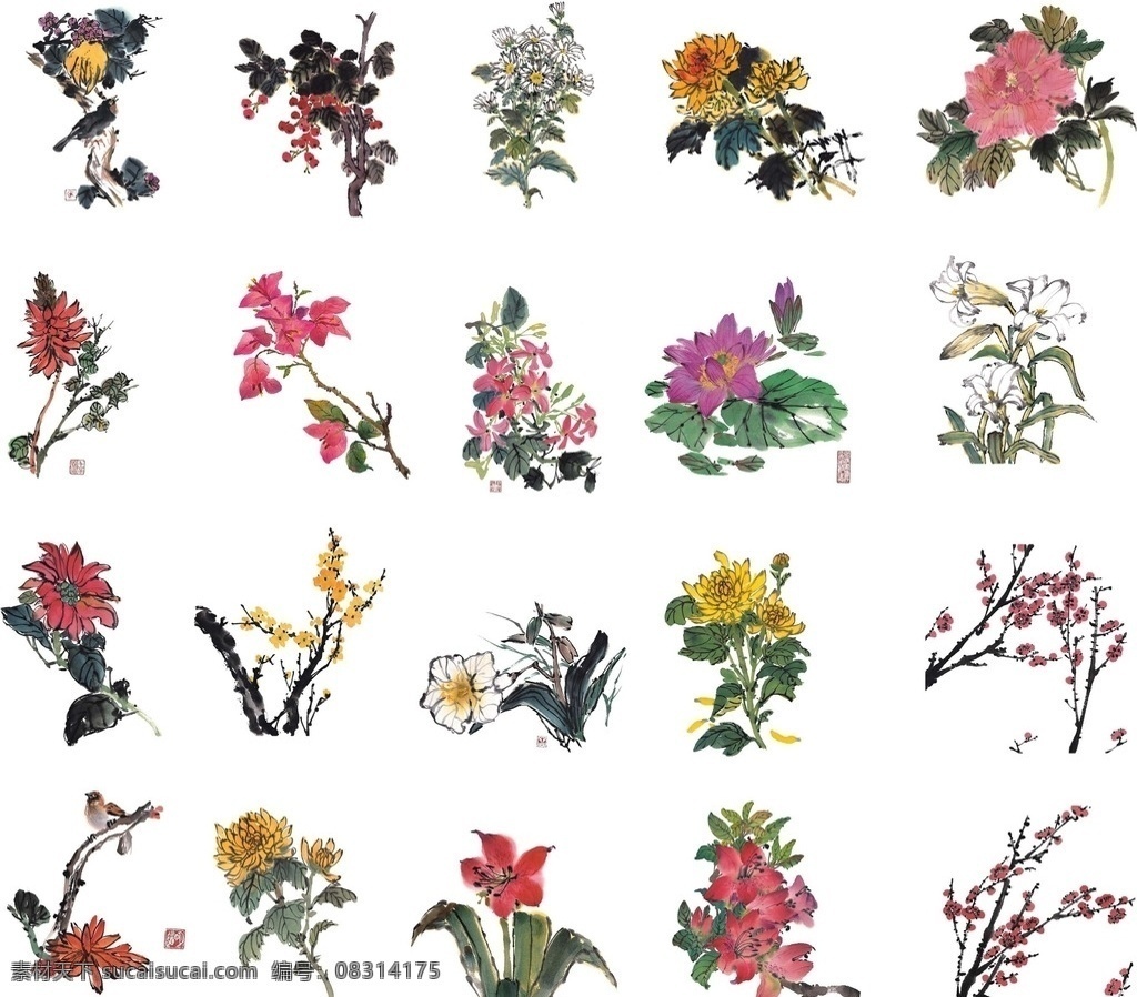 花朵水彩画 国画 画 腊梅 梅花 梅 菊花 菊 中国画 花 水墨画 水彩画 另类国画 花朵 简洁花朵 绘画书法 文化艺术 水粉画 花草 花草局部 各种花草 生物世界