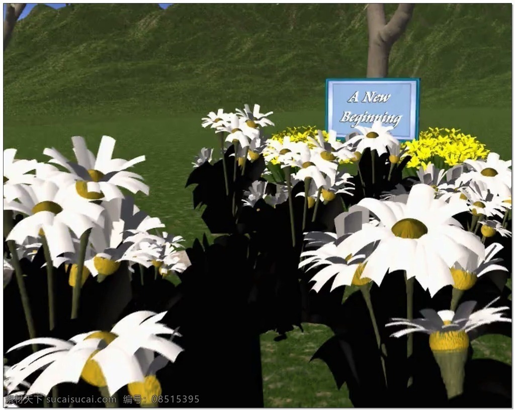 花朵 婚礼 片头 视频 背景 白色 花海 浪漫 视频素材 动态视频素材