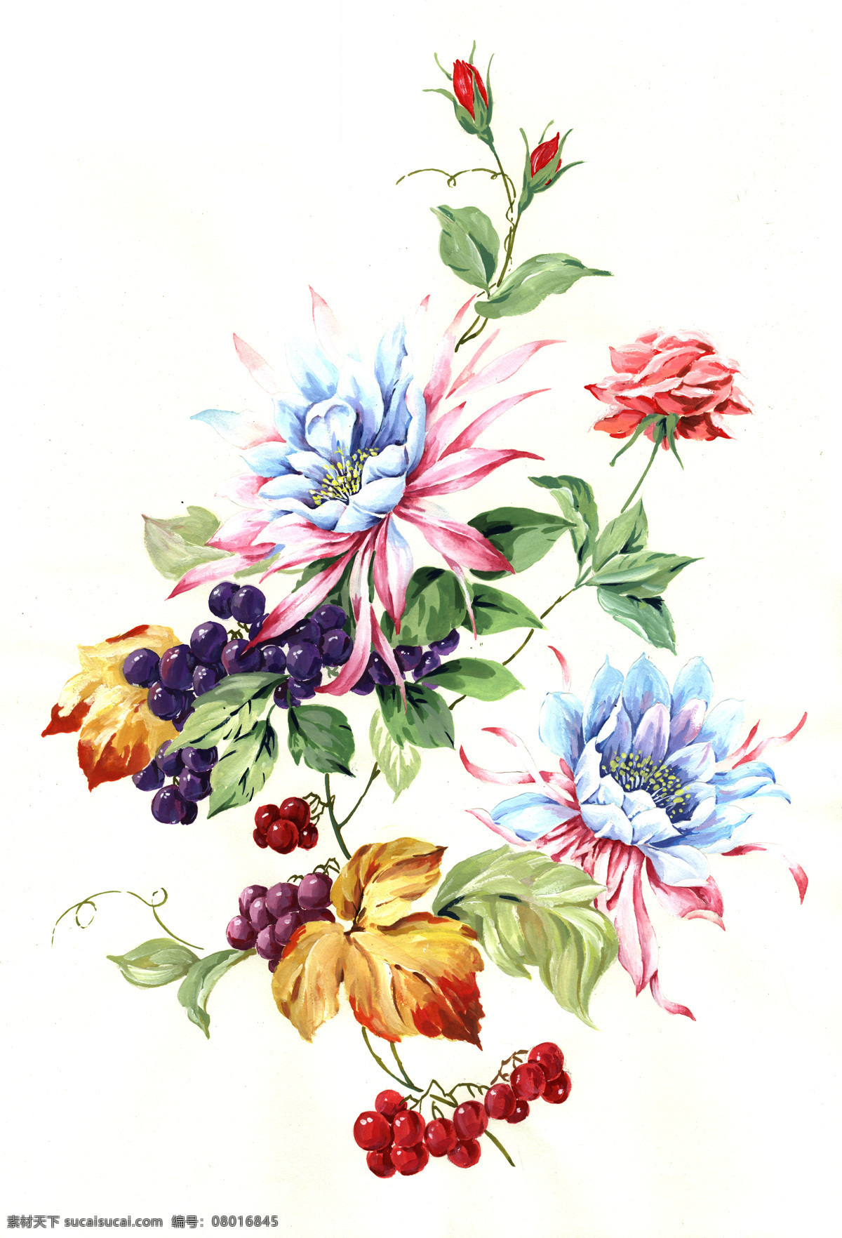 水彩花卉 手绘 水彩 花卉 水果 葡萄 花朵 文化艺术 绘画书法