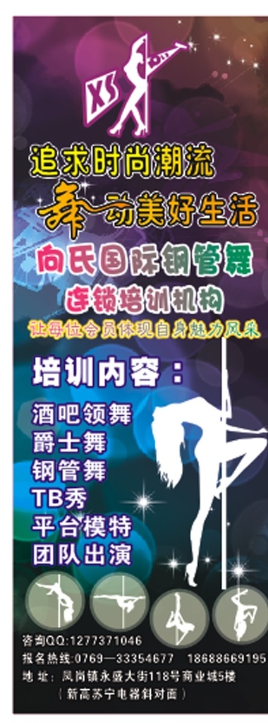 向氏舞蹈 向氏 舞蹈 钢管 培训 黑色 紫色 展架 海报 时尚潮流