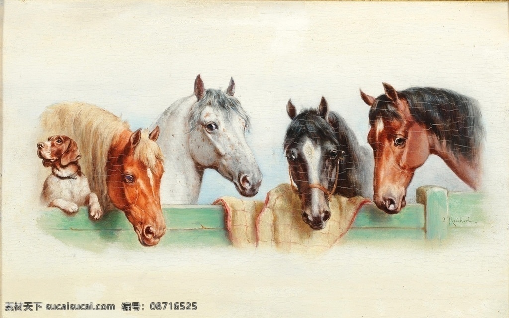 卡尔 赖 克特 作品 奥地利画家 一只猎犬 艾因亨德 四匹马 牧场 19世纪油画 油画 文化艺术 绘画书法