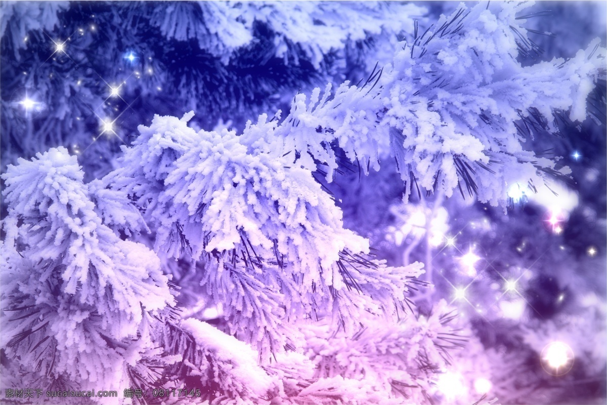 冰雪 覆盖 树枝 树林 森林 冰冻 冰花 霜花 景色 景观 自然风景 自然景观 蓝色