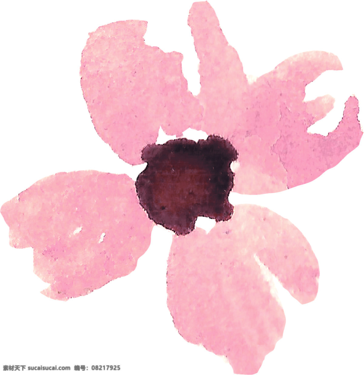 朵 淡 香花 一朵 彩色 花朵 简约 红色