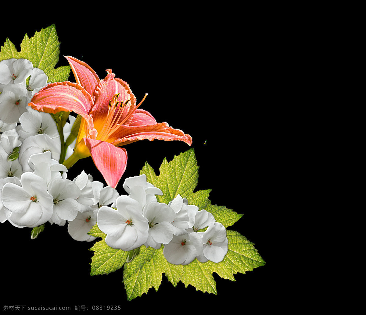 清新 淡雅 白色 小花 花朵 花束 实物 元素 白色小花 花枝 绿叶 实物元素 植物元素