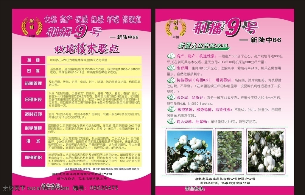 棉花种子 棉花 种子 荆播9号 彩页 dm单 麦穗 底图 dm宣传单