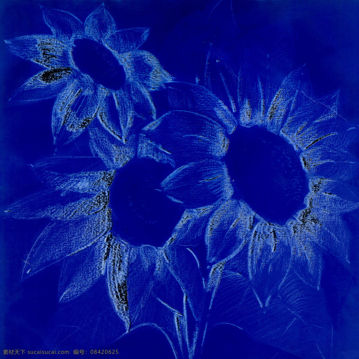 蓝色 植物 花朵 油画 花卉 装饰画 绘画 壁画 墙画 艺术 书画文字 文化艺术