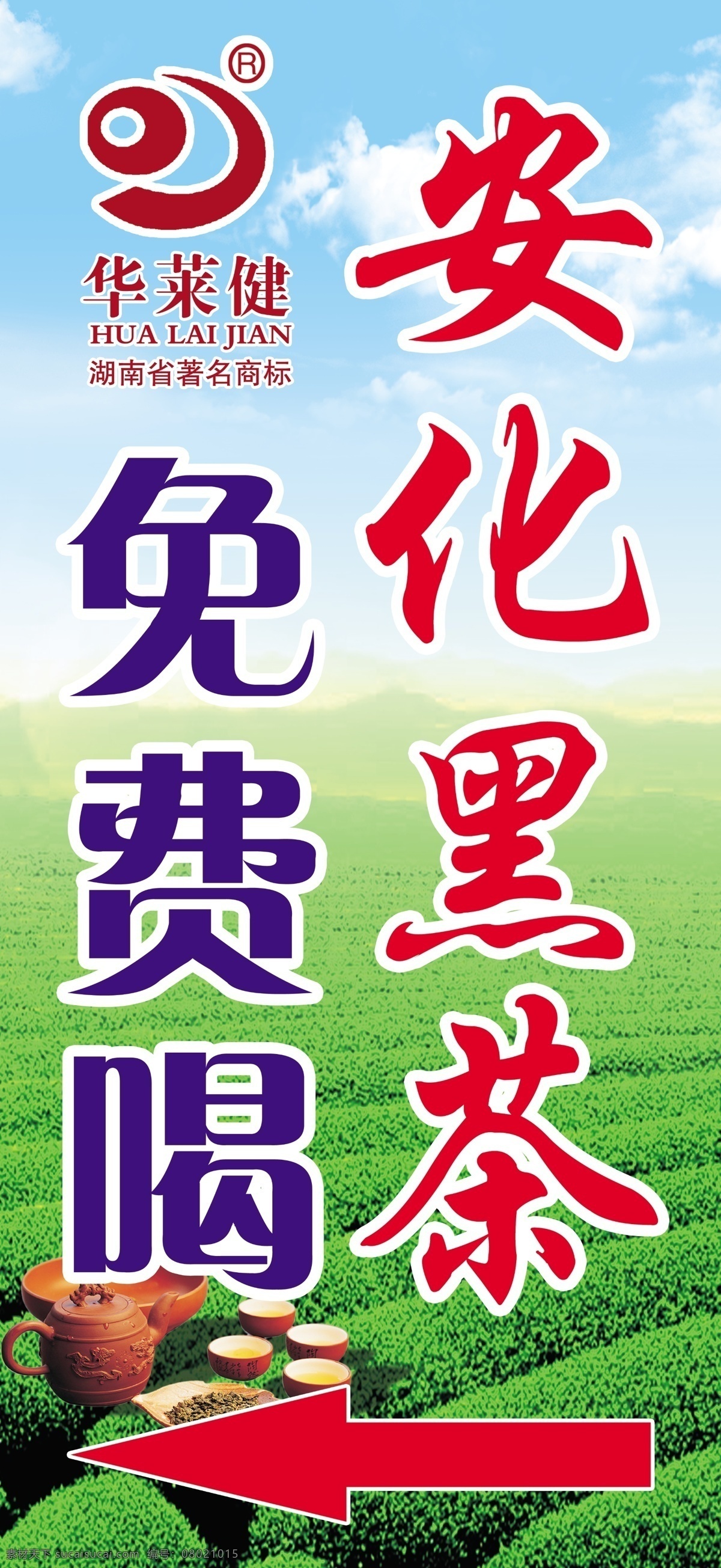 安化黑茶 湖南华莱 安化 茶壶 华莱健