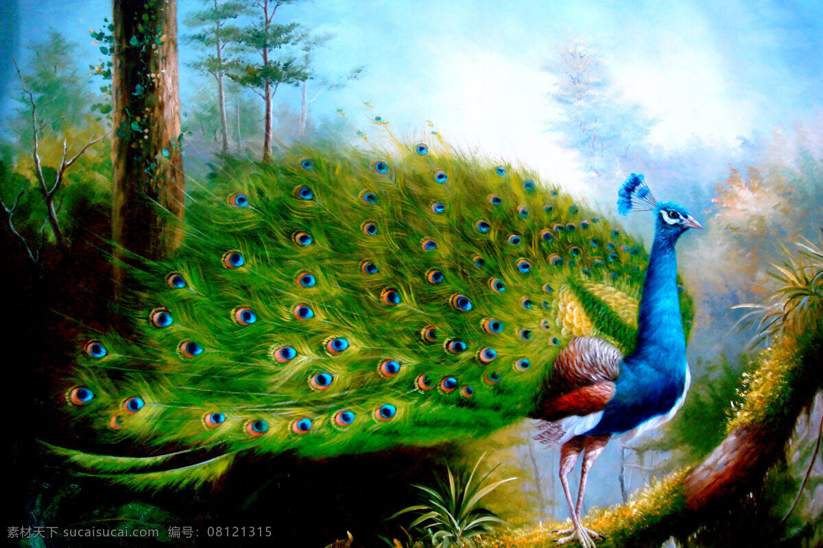 孔雀 油画 现代油画 色彩画 动物画 羽毛 树林 植物 雾气 树木 天空 油画艺术 油画作品 绘画书法 文化艺术