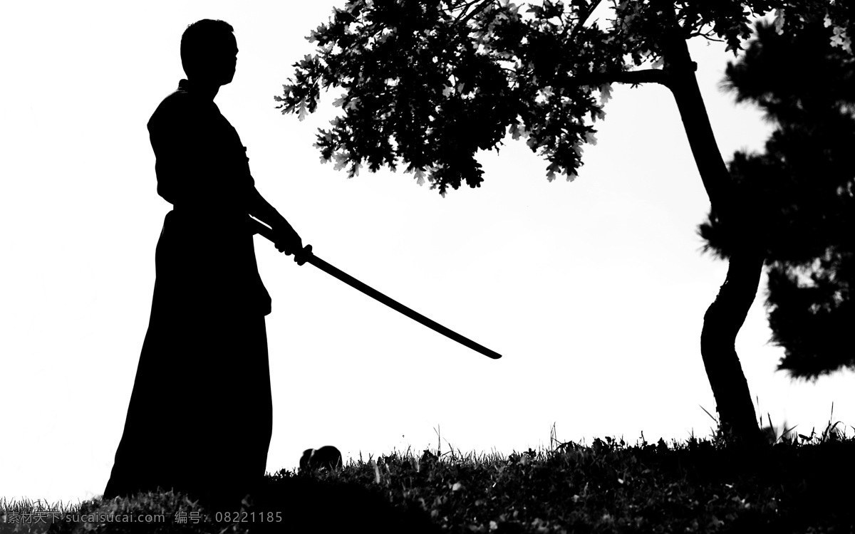 剑 人物 剪影 男人 男性 人物摄影 人物素材 武术 练武 健身 锻炼 体育运动 生活百科