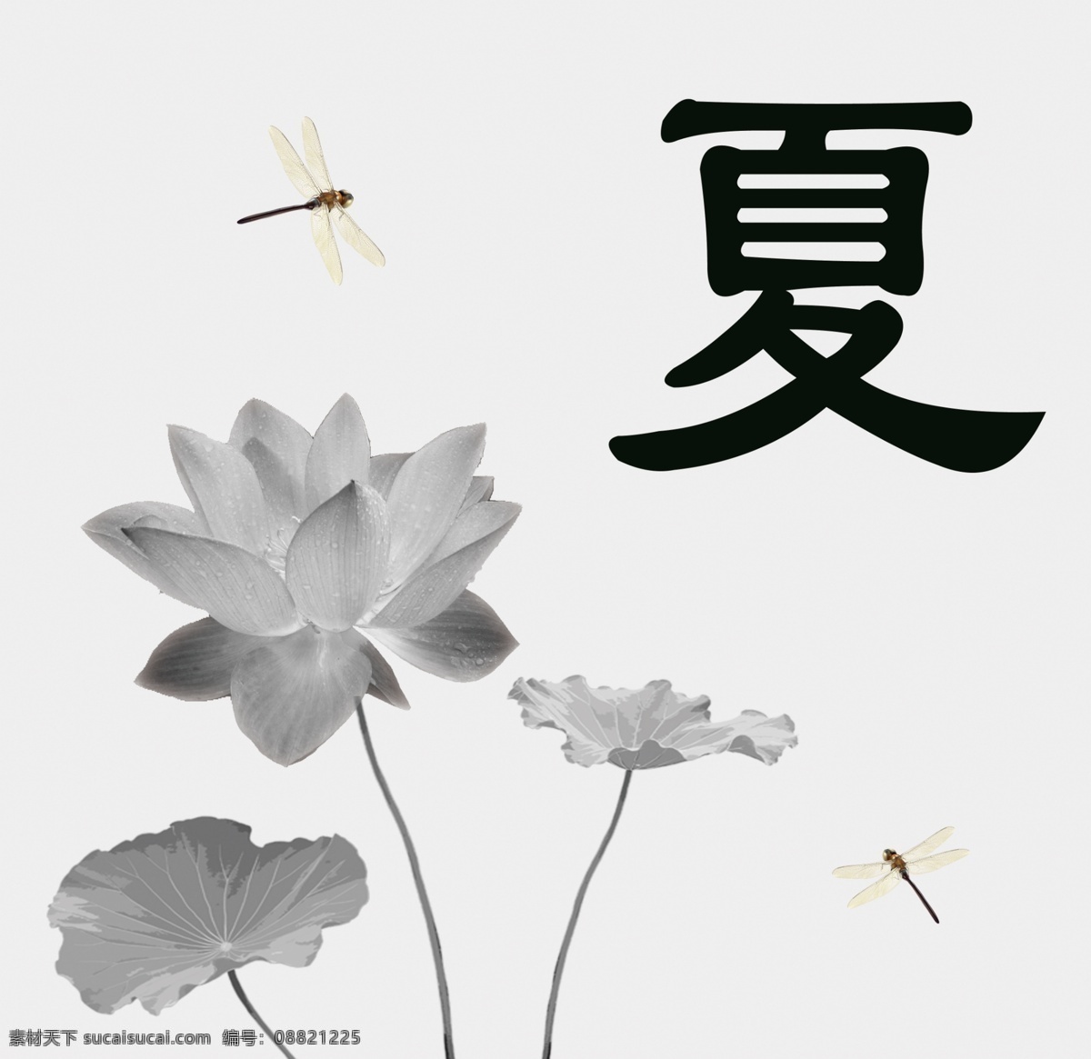 夏秋季荷花 夏季 荷花 优雅 蜻蜓 水墨画 文化艺术 绘画书法