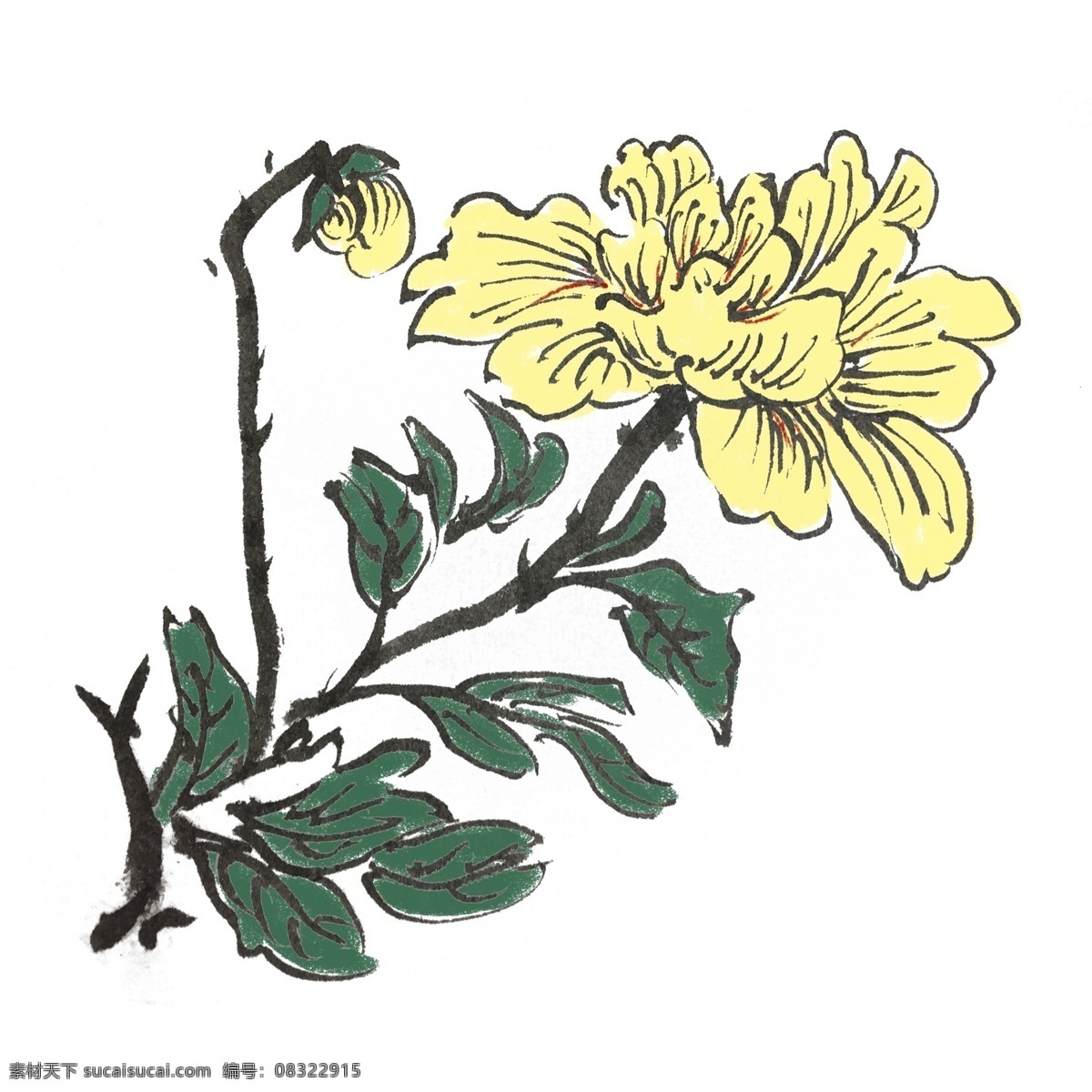 中国 风 水墨 牡丹花 手绘 插画 中国风 动物 古风 水墨风 墨迹 夏季 彩色 春天 生动 花草 国风 国画 花鸟 小景