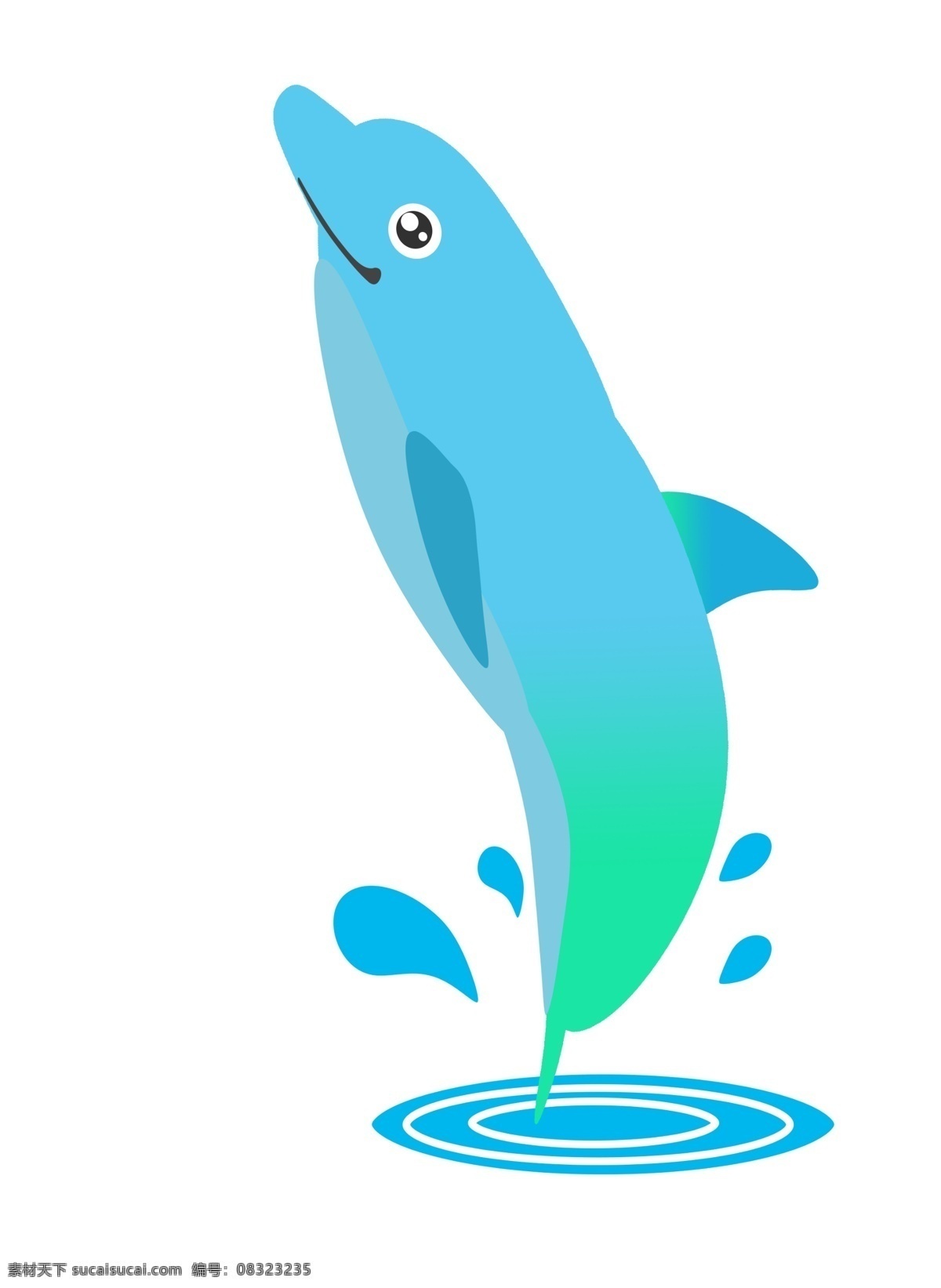 双色海洋海豚 海豚 动物 海洋