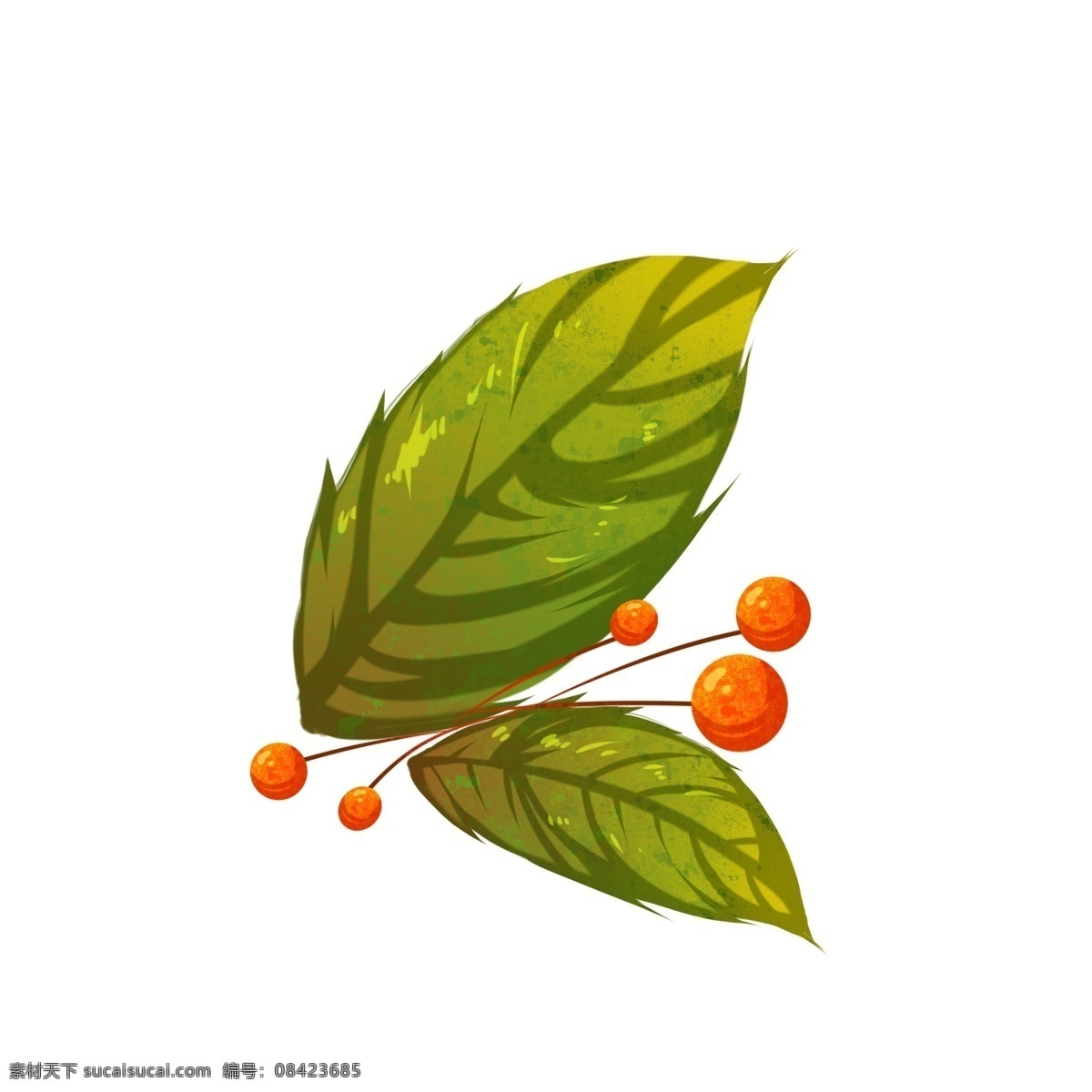 绿色树叶果实 绿植 热带植物 果实