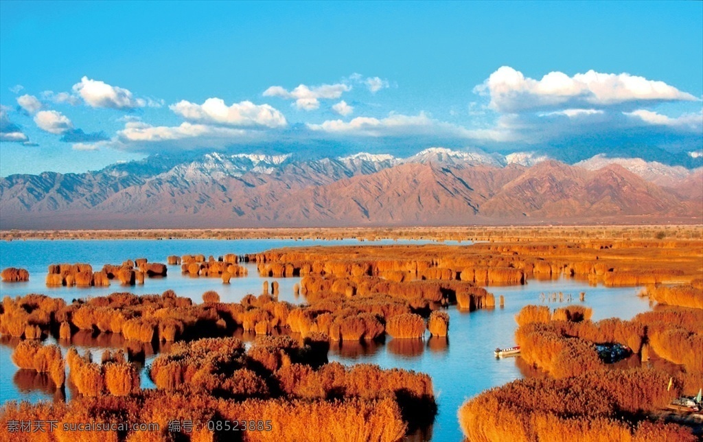 沙湖风景 宁夏沙湖 宁夏 沙湖 水 芦苇 旅游摄影 自然风景 自然景观 山水风景